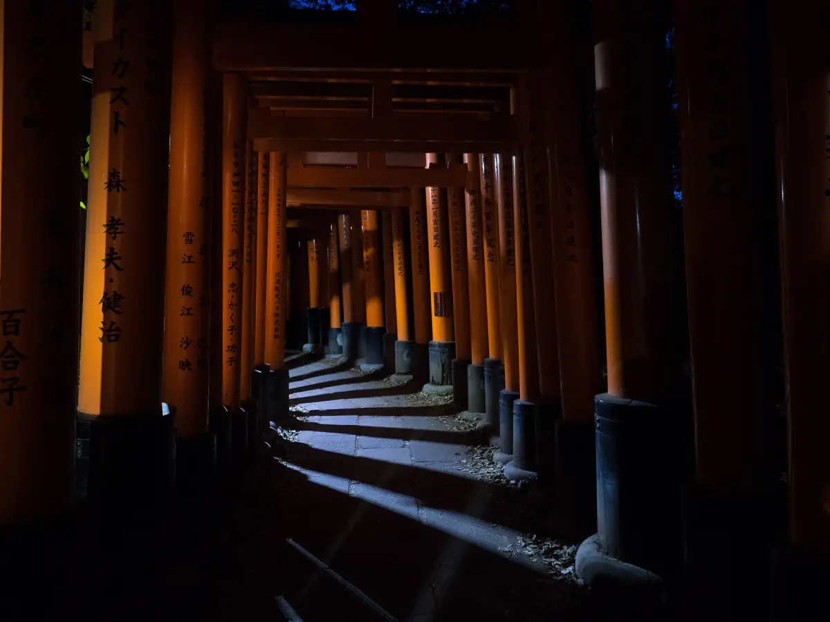 Torii gates at night