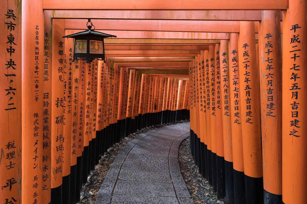 Torii path with a stone lantern
