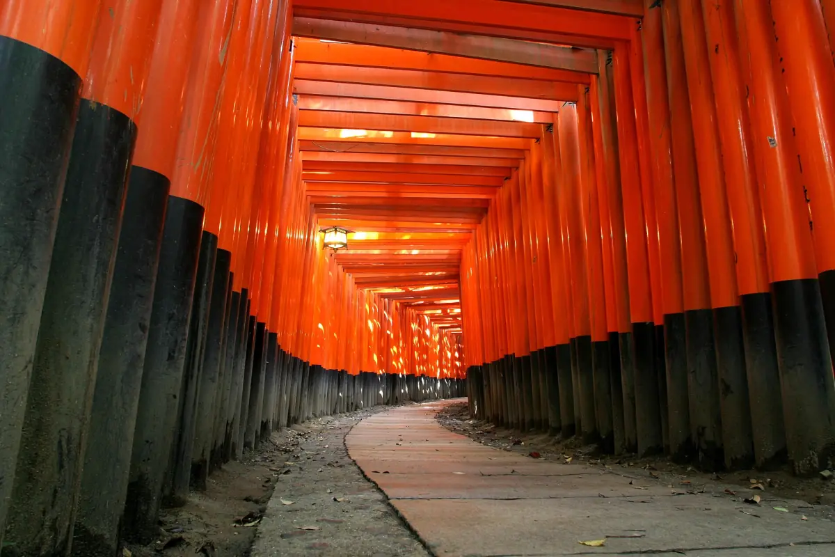A path through rows of vermilion torii at Fushimi Inari