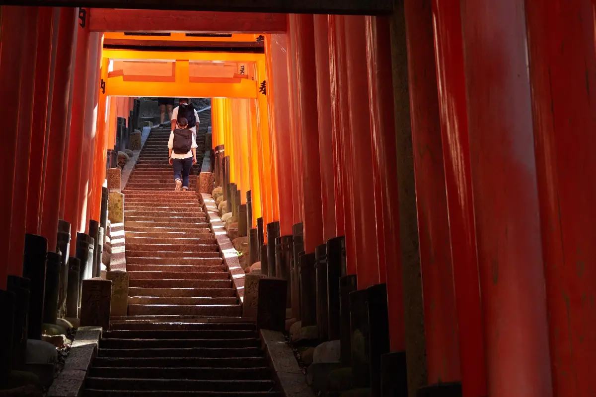 Steps rising through a tunnel of torii