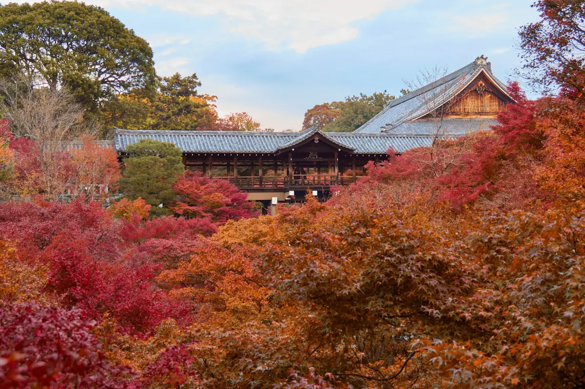 Tofukuji and the Tsutenkyo bridge in autumn